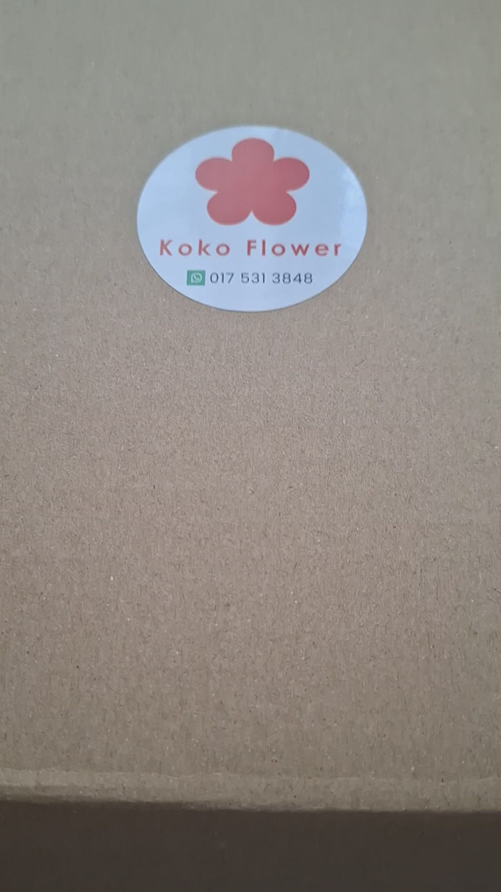 Winter Morning Gift Box